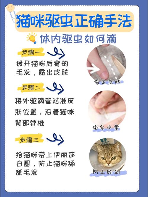 猫咪内外驱虫多久一次,小猫内外驱虫多久一次?-第3张图片-后鲨宠物 猫咪内外驱虫多久一次,小猫内外驱虫多久一次?-第3张图片-后鲨宠物