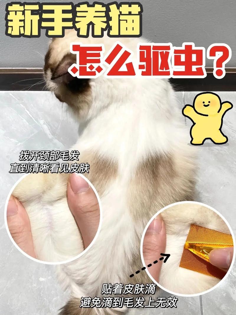 猫咪内外驱虫多久一次,小猫内外驱虫多久一次?-第4张图片-后鲨宠物 猫咪内外驱虫多久一次,小猫内外驱虫多久一次?-第4张图片-后鲨宠物