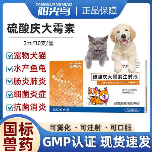 狗狗吃庆大霉素用量,给狗狗吃庆大霉素吃多少?-第2张图片-后鲨宠物 狗狗吃庆大霉素用量,给狗狗吃庆大霉素吃多少?-第2张图片-后鲨宠物