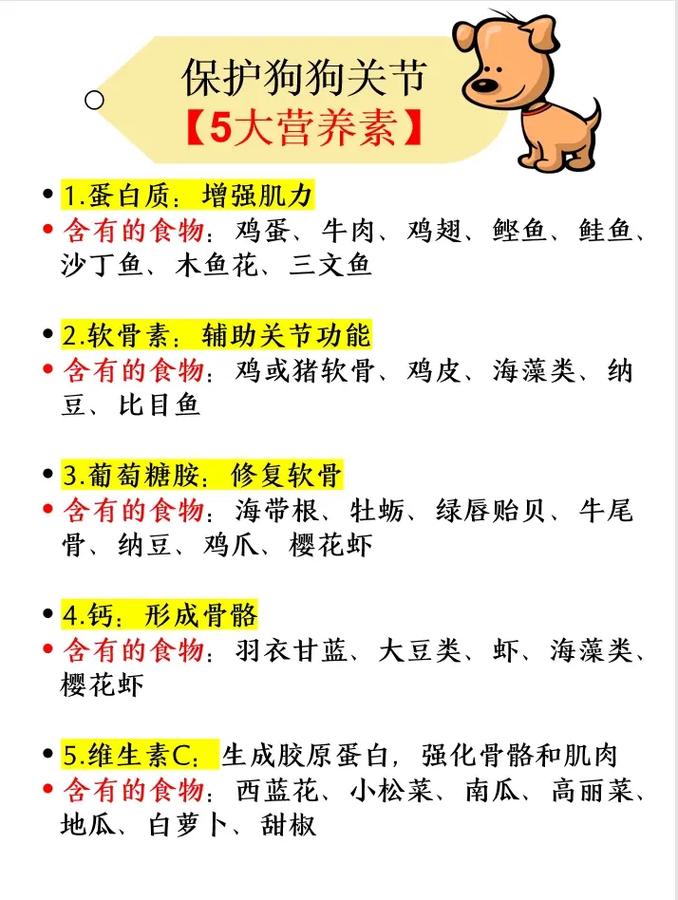 怎么给狗狗补充营养,怎么给狗狗补充营养最快?-第4张图片-后鲨宠物 怎么给狗狗补充营养,怎么给狗狗补充营养最快?-第4张图片-后鲨宠物