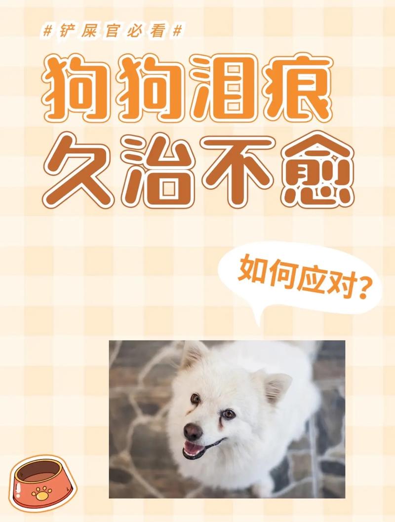 狗狗流泪是怎么回事，狗狗流泪是怎么了？