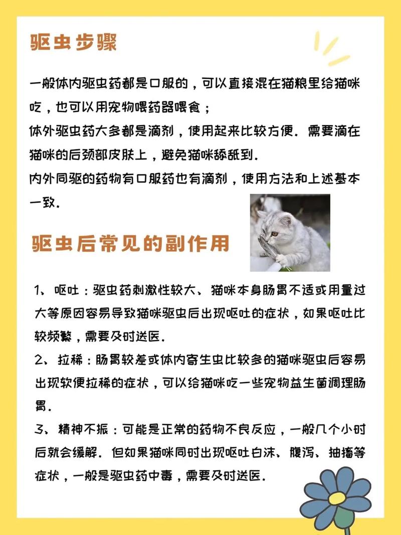 猫咪内驱多久一次_猫咪内驱多久一次好-第5张图片-后鲨宠物 猫咪内驱多久一次_猫咪内驱多久一次好-第5张图片-后鲨宠物