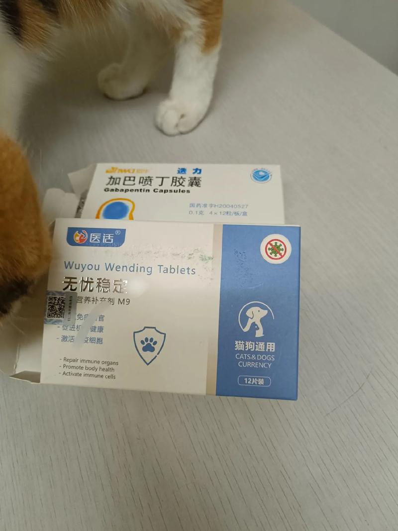 猫咪拉稀吃什么药_猫咪拉稀吃什么药管用-第5张图片-后鲨宠物 猫咪拉稀吃什么药_猫咪拉稀吃什么药管用-第5张图片-后鲨宠物