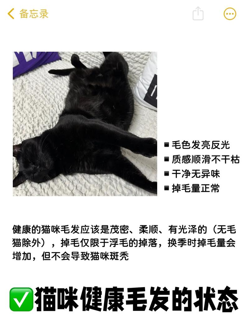 猫咪什么时候换毛，猫咪什么时候换毛期结束？-第2张图片-后鲨宠物