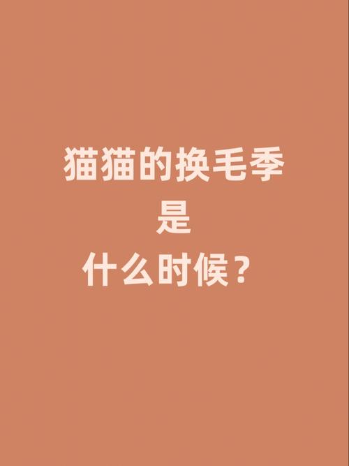 猫咪什么时候换毛，猫咪什么时候换毛期结束？-第3张图片-后鲨宠物