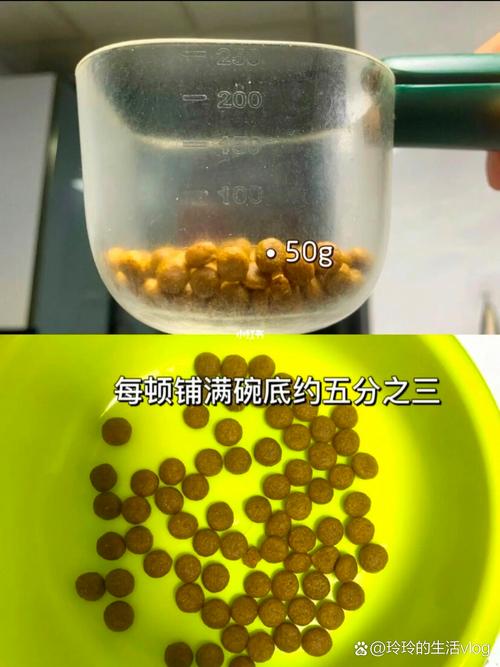 狗狗几个月狗粮不用泡_狗狗几个月狗粮不用泡着吃-第1张图片-后鲨宠物 狗狗几个月狗粮不用泡_狗狗几个月狗粮不用泡着吃-第1张图片-后鲨宠物