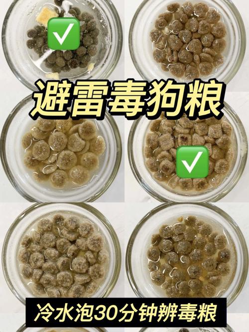 狗狗几个月狗粮不用泡_狗狗几个月狗粮不用泡着吃-第3张图片-后鲨宠物 狗狗几个月狗粮不用泡_狗狗几个月狗粮不用泡着吃-第3张图片-后鲨宠物