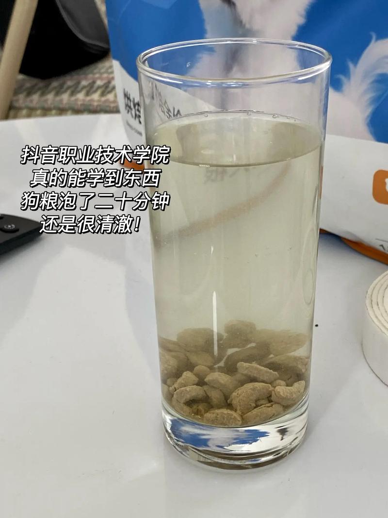 狗狗几个月狗粮不用泡_狗狗几个月狗粮不用泡着吃-第4张图片-后鲨宠物 狗狗几个月狗粮不用泡_狗狗几个月狗粮不用泡着吃-第4张图片-后鲨宠物