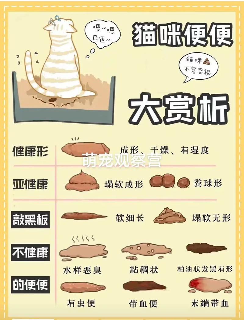 猫咪一直拉软便会死吗_猫咪一直软便拉稀怎么办-第3张图片-后鲨宠物