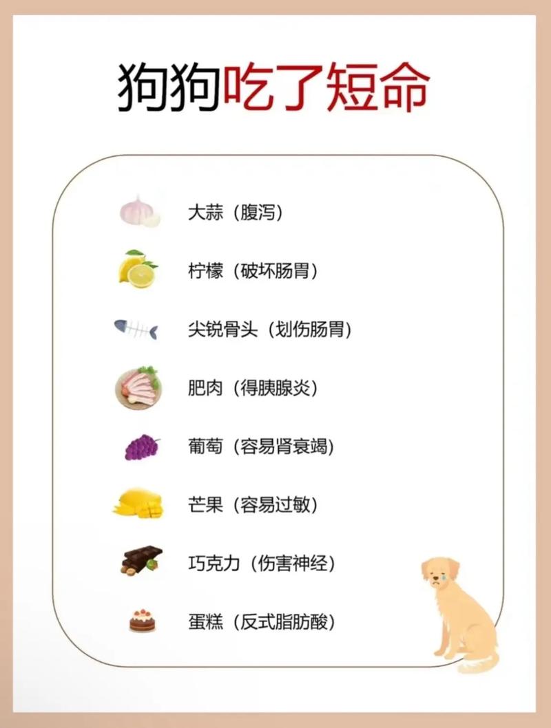 狗狗能吃榛子吗，狗狗能吃榛子吗有营养吗？-第2张图片-后鲨宠物