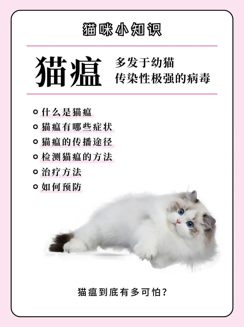 猫咪感冒会传染给猫吗,猫咪感冒会传染给猫吗视频?-第2张图片-后鲨宠物 猫咪感冒会传染给猫吗,猫咪感冒会传染给猫吗视频?-第2张图片-后鲨宠物