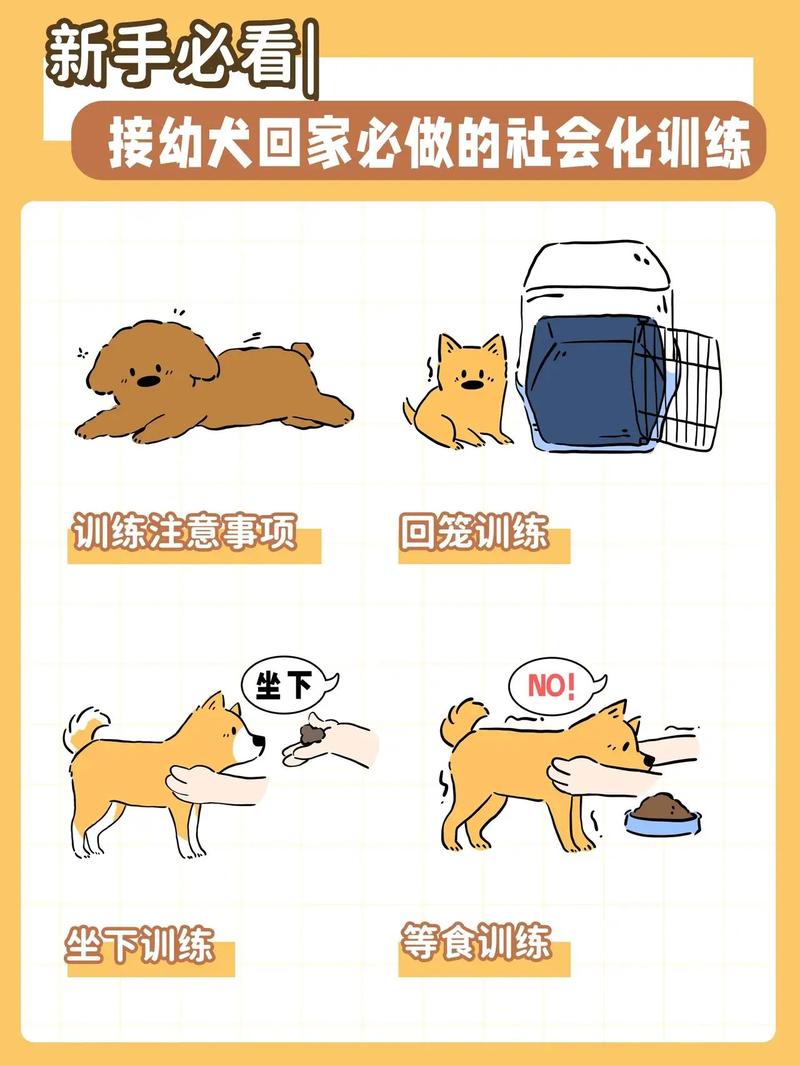 小狗狗怎么训练，小狗狗怎么训练它出去玩？