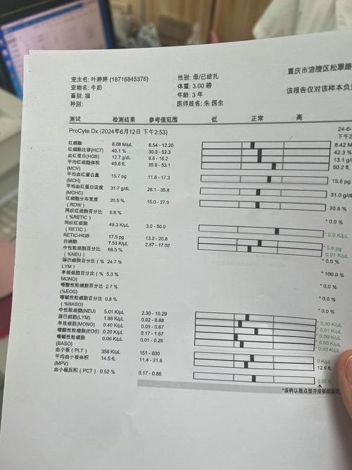 猫咪生化检查多少钱_猫咪生化检查500多贵吗