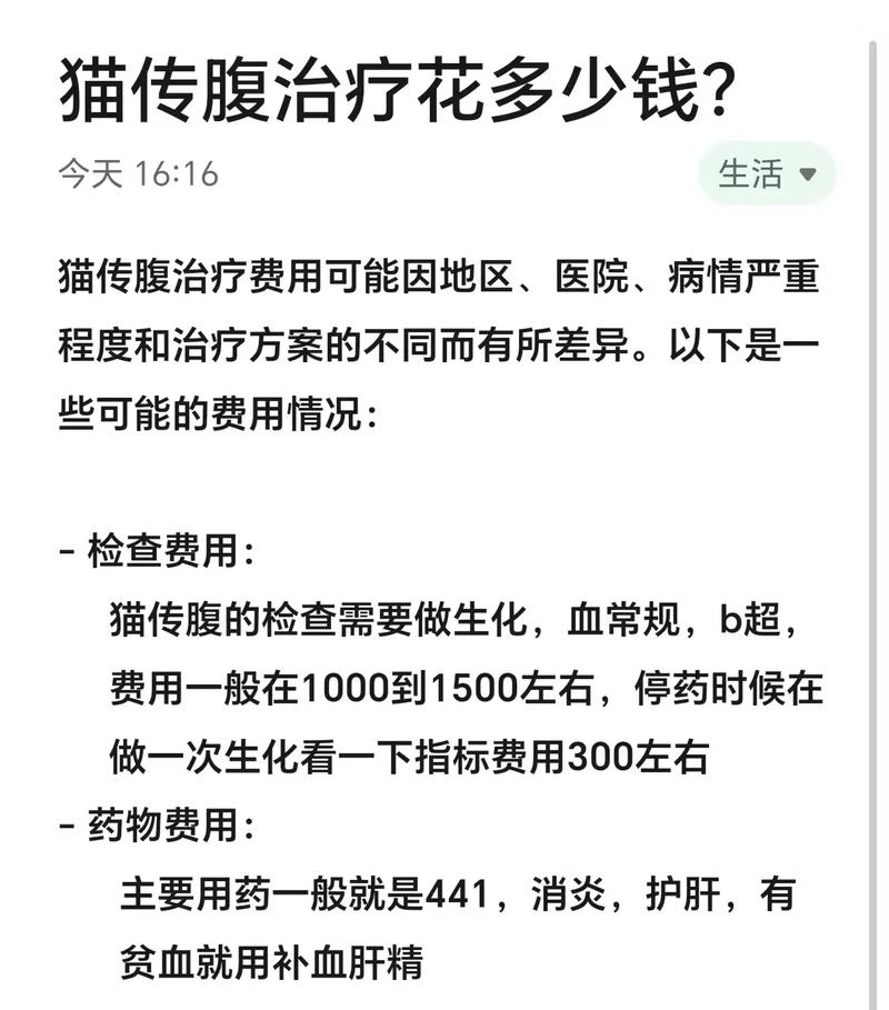 猫咪生化检查多少钱_猫咪生化检查500多贵吗-第4张图片-后鲨宠物 猫咪生化检查多少钱_猫咪生化检查500多贵吗-第4张图片-后鲨宠物