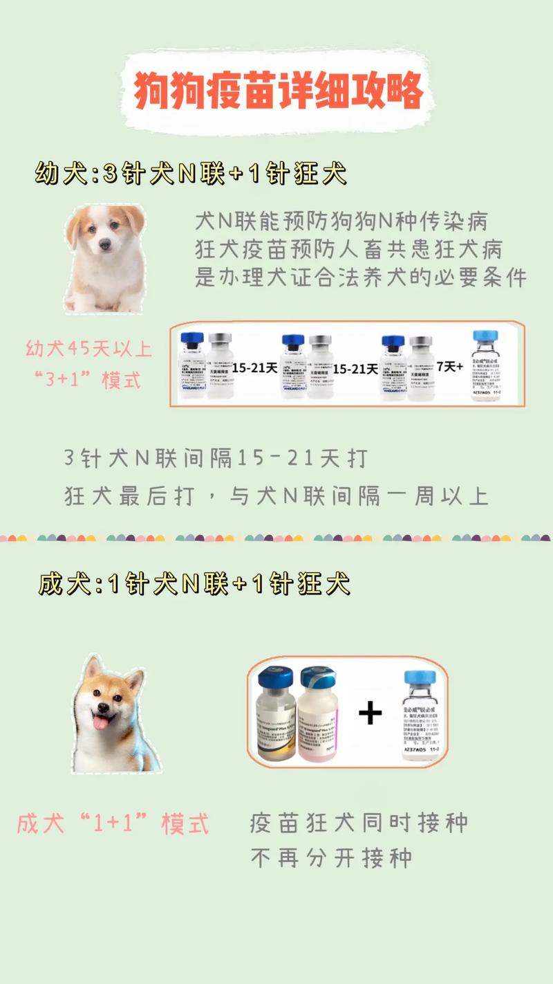 狗狗打针打哪个部位,狗狗打针打哪个部位图片-第2张图片-后鲨宠物 狗狗打针打哪个部位,狗狗打针打哪个部位图片-第2张图片-后鲨宠物