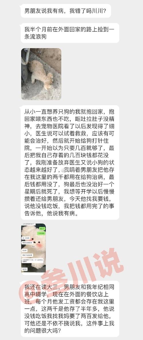 没钱给狗狗治病怎么办,没钱给狗狗治病怎么办呀-第2张图片-后鲨宠物 没钱给狗狗治病怎么办,没钱给狗狗治病怎么办呀-第2张图片-后鲨宠物