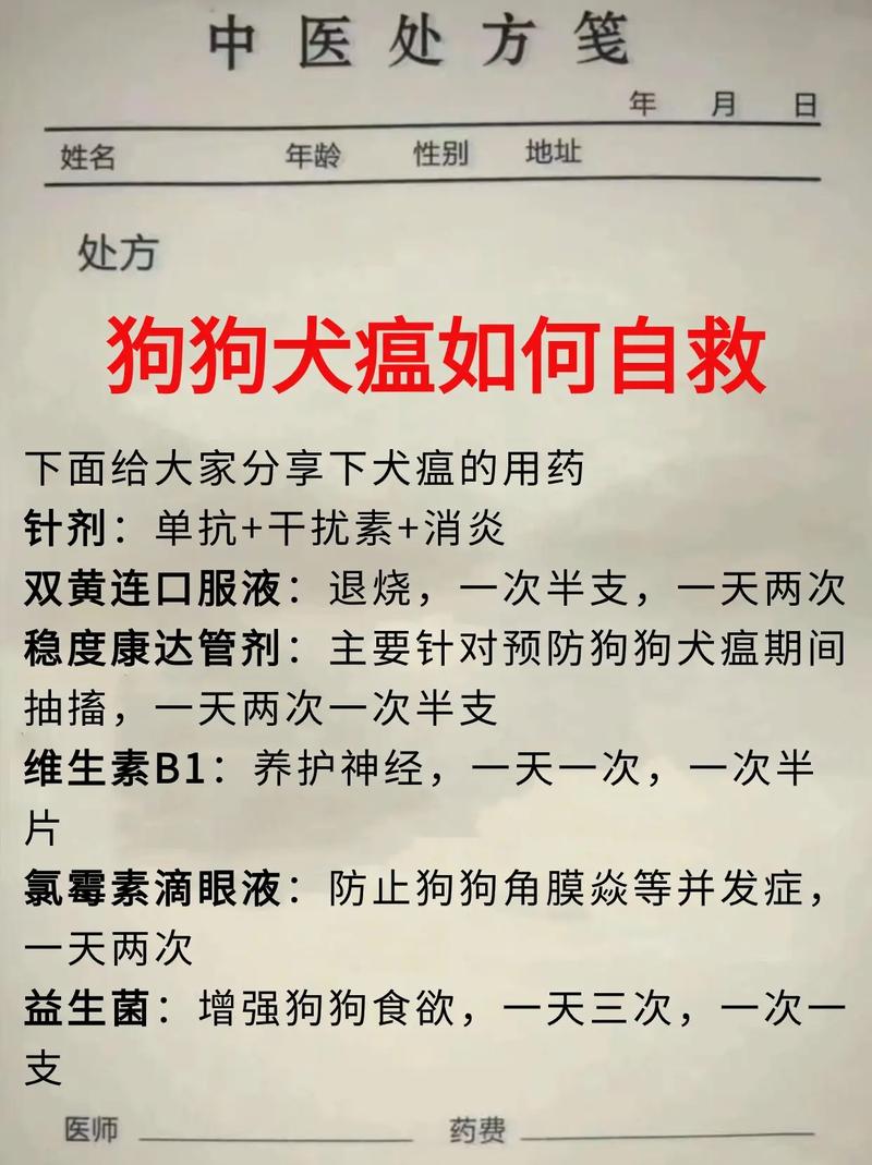 没钱给狗狗治病怎么办,没钱给狗狗治病怎么办呀-第4张图片-后鲨宠物 没钱给狗狗治病怎么办,没钱给狗狗治病怎么办呀-第4张图片-后鲨宠物