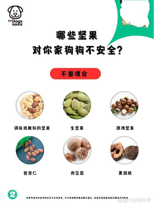狗狗能吃坚果吗,狗能吃坚果类的食物吗?-第2张图片-后鲨宠物 狗狗能吃坚果吗,狗能吃坚果类的食物吗?-第2张图片-后鲨宠物