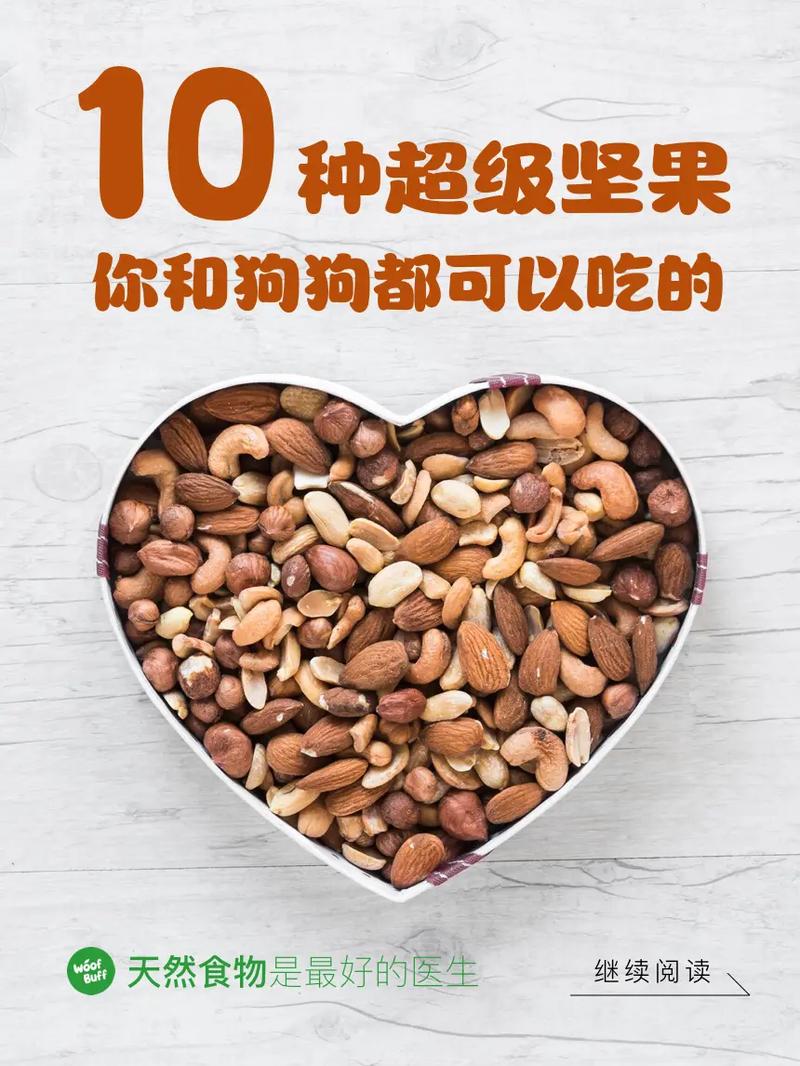 狗狗能吃坚果吗,狗能吃坚果类的食物吗?-第3张图片-后鲨宠物 狗狗能吃坚果吗,狗能吃坚果类的食物吗?-第3张图片-后鲨宠物