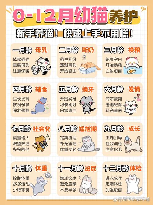  猫咪可以喝什么奶，小奶猫吃什么食物比较好-第3张图片-后鲨宠物