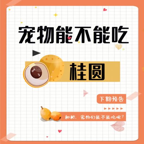 狗狗可以吃桂圆吗,狗狗可以吃桂圆嘛?-第4张图片-后鲨宠物 狗狗可以吃桂圆吗,狗狗可以吃桂圆嘛?-第4张图片-后鲨宠物