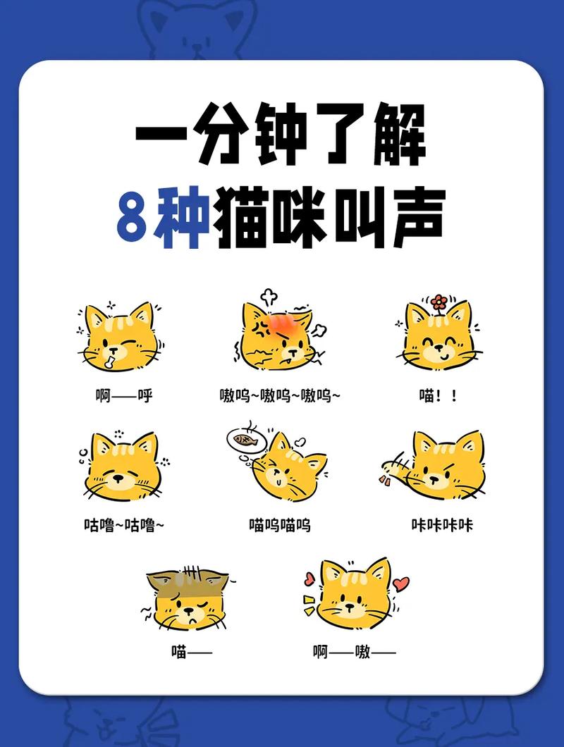 猫咪撒娇的叫声_猫咪撒娇的叫声是什么-第3张图片-后鲨宠物 猫咪撒娇的叫声_猫咪撒娇的叫声是什么-第3张图片-后鲨宠物
