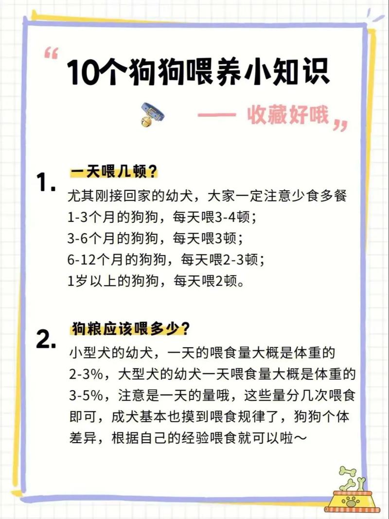 怎么诱导狗狗吃狗粮_怎么诱惑狗吃东西-第1张图片-后鲨宠物 怎么诱导狗狗吃狗粮_怎么诱惑狗吃东西-第1张图片-后鲨宠物