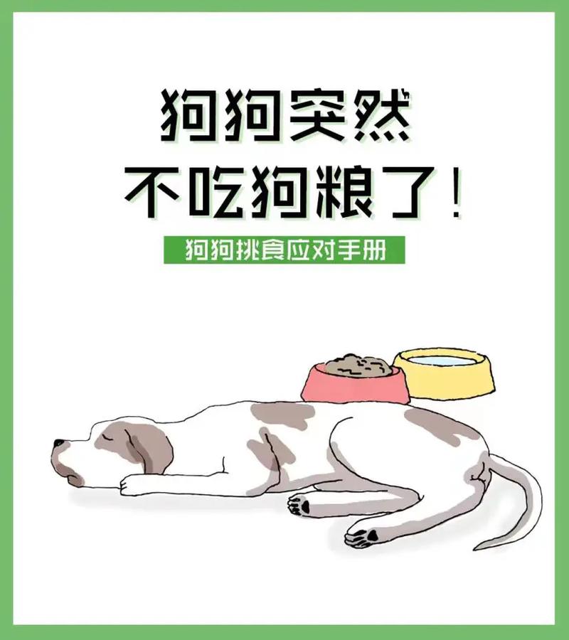 怎么诱导狗狗吃狗粮_怎么诱惑狗吃东西-第2张图片-后鲨宠物 怎么诱导狗狗吃狗粮_怎么诱惑狗吃东西-第2张图片-后鲨宠物