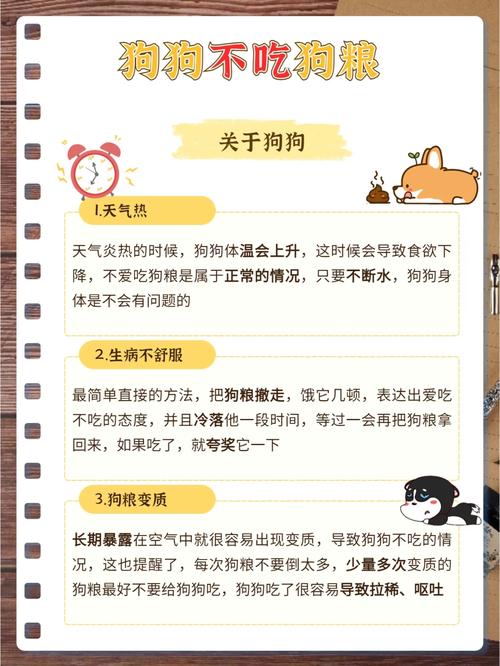 怎么诱导狗狗吃狗粮_怎么诱惑狗吃东西-第3张图片-后鲨宠物 怎么诱导狗狗吃狗粮_怎么诱惑狗吃东西-第3张图片-后鲨宠物