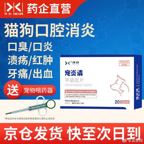 猫咪口腔炎的治疗方法_猫猫口腔炎的治疗-第6张图片-后鲨宠物 猫咪口腔炎的治疗方法_猫猫口腔炎的治疗-第6张图片-后鲨宠物