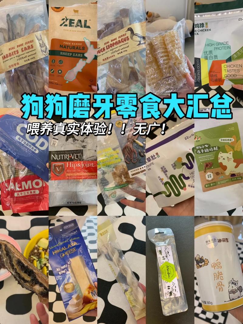狗狗吃什么零食比较好,给狗狗吃什么零食比较好?-第5张图片-后鲨宠物 狗狗吃什么零食比较好,给狗狗吃什么零食比较好?-第5张图片-后鲨宠物