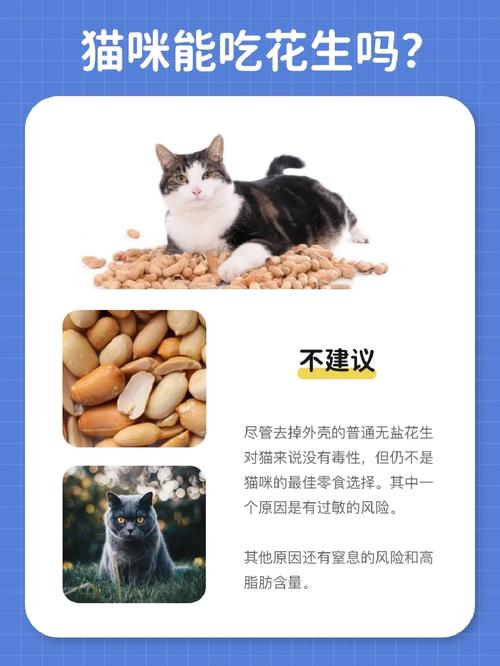 猫咪能吃花生吗_猫咪能吃花生吗?-第1张图片-后鲨宠物