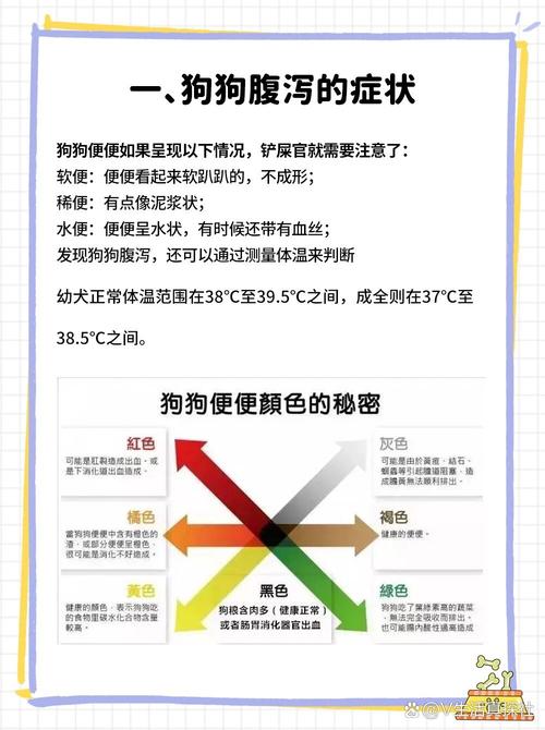 狗狗乱拉便便怎么纠正,狗狗乱拉大小便怎么纠正-第1张图片-后鲨宠物 狗狗乱拉便便怎么纠正,狗狗乱拉大小便怎么纠正-第1张图片-后鲨宠物