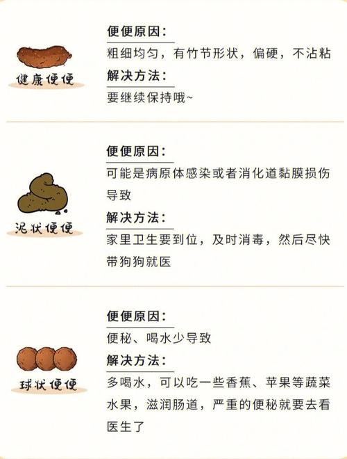 狗狗乱拉便便怎么纠正,狗狗乱拉大小便怎么纠正-第3张图片-后鲨宠物 狗狗乱拉便便怎么纠正,狗狗乱拉大小便怎么纠正-第3张图片-后鲨宠物