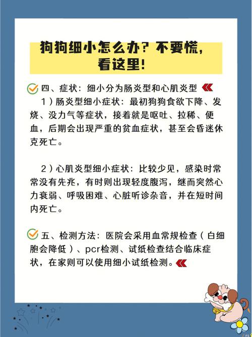 狗狗得了细小怎么办,狗狗得了细小怎么办还能救活吗y?-第4张图片-后鲨宠物 狗狗得了细小怎么办,狗狗得了细小怎么办还能救活吗y?-第4张图片-后鲨宠物