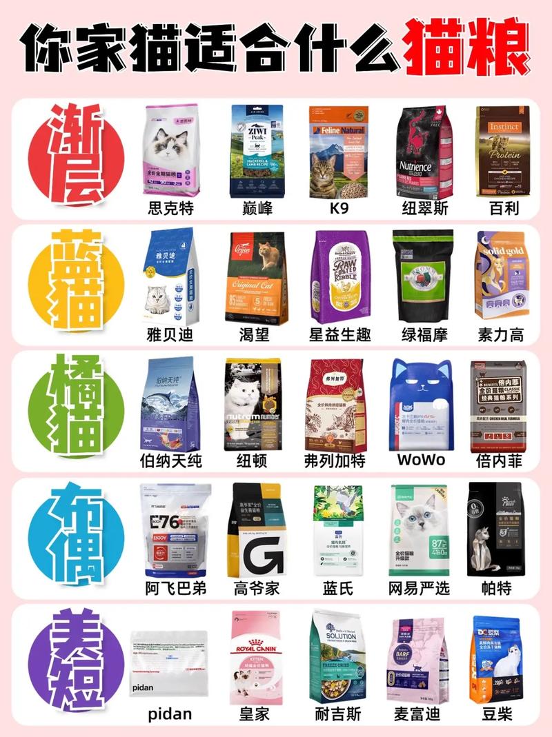 猫咪吃什么猫粮比较好,猫咪应该吃什么猫粮-第4张图片-后鲨宠物 猫咪吃什么猫粮比较好,猫咪应该吃什么猫粮-第4张图片-后鲨宠物