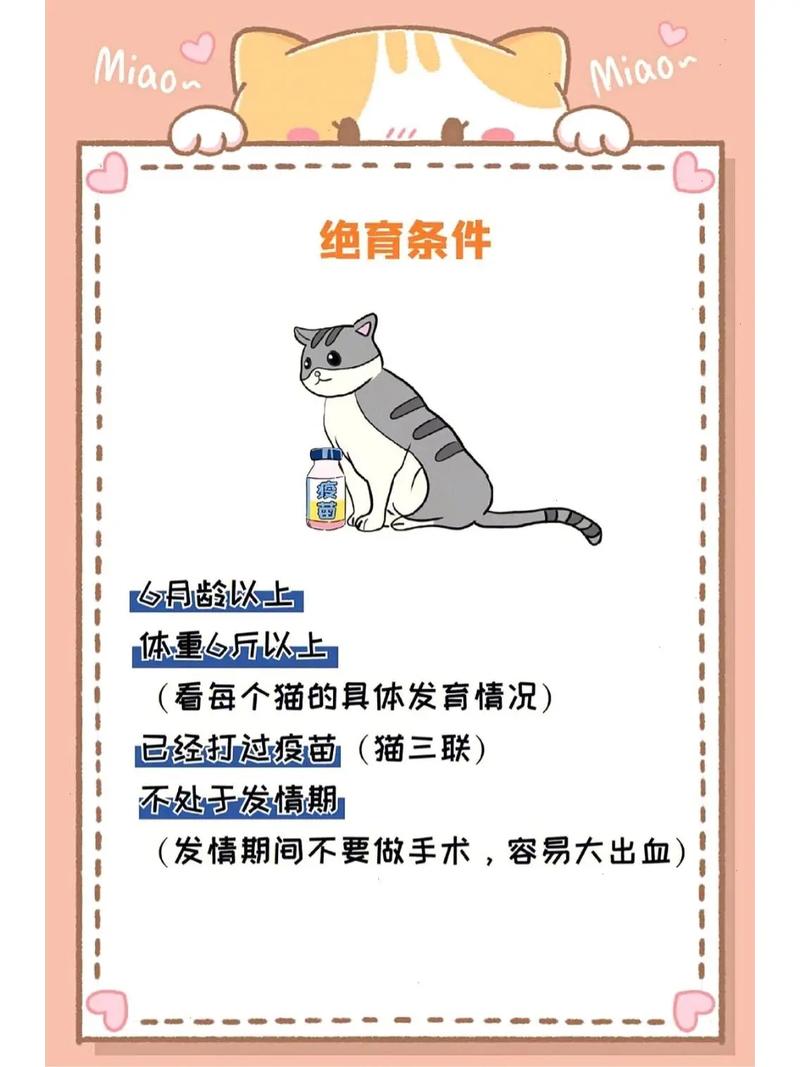 猫咪为什么绝育,猫咪为什么绝育后还发情-第3张图片-后鲨宠物 猫咪为什么绝育,猫咪为什么绝育后还发情-第3张图片-后鲨宠物