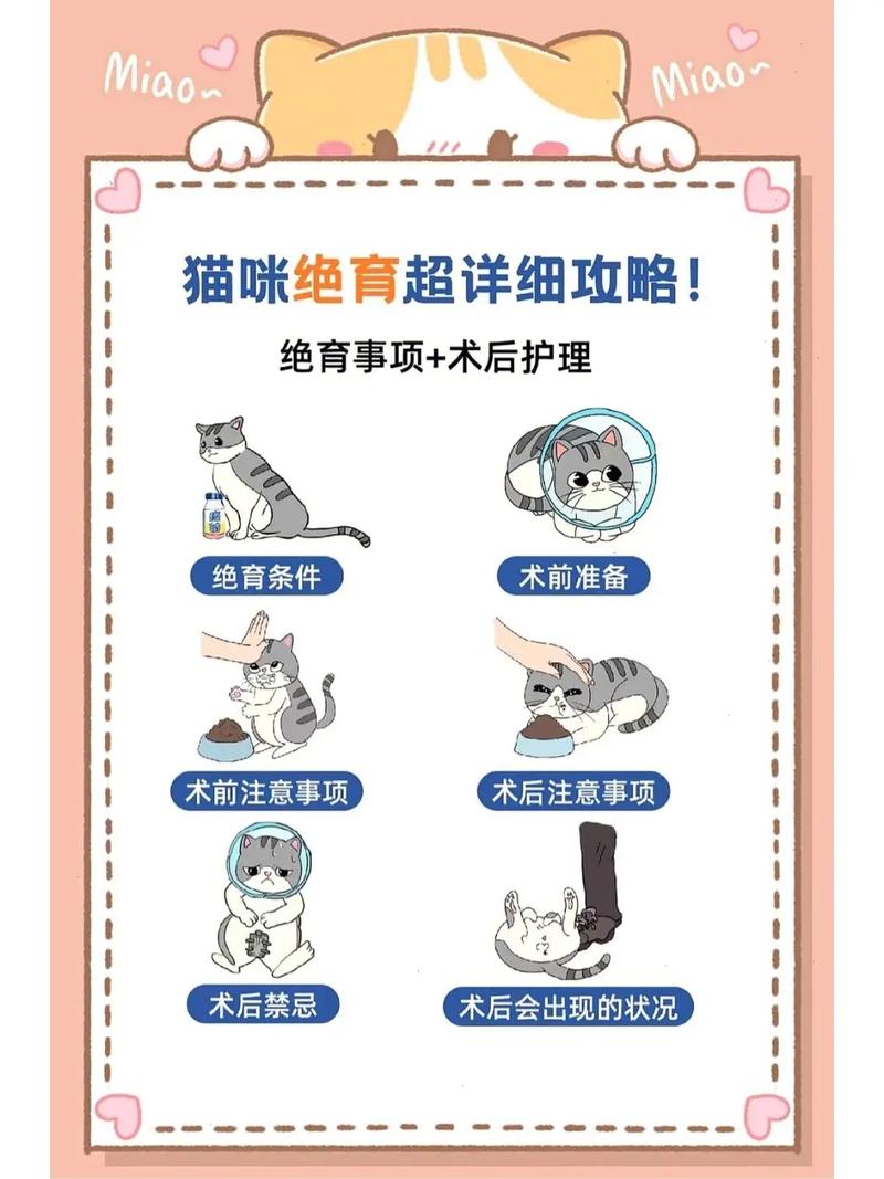 猫咪为什么绝育,猫咪为什么绝育后还发情-第4张图片-后鲨宠物 猫咪为什么绝育,猫咪为什么绝育后还发情-第4张图片-后鲨宠物