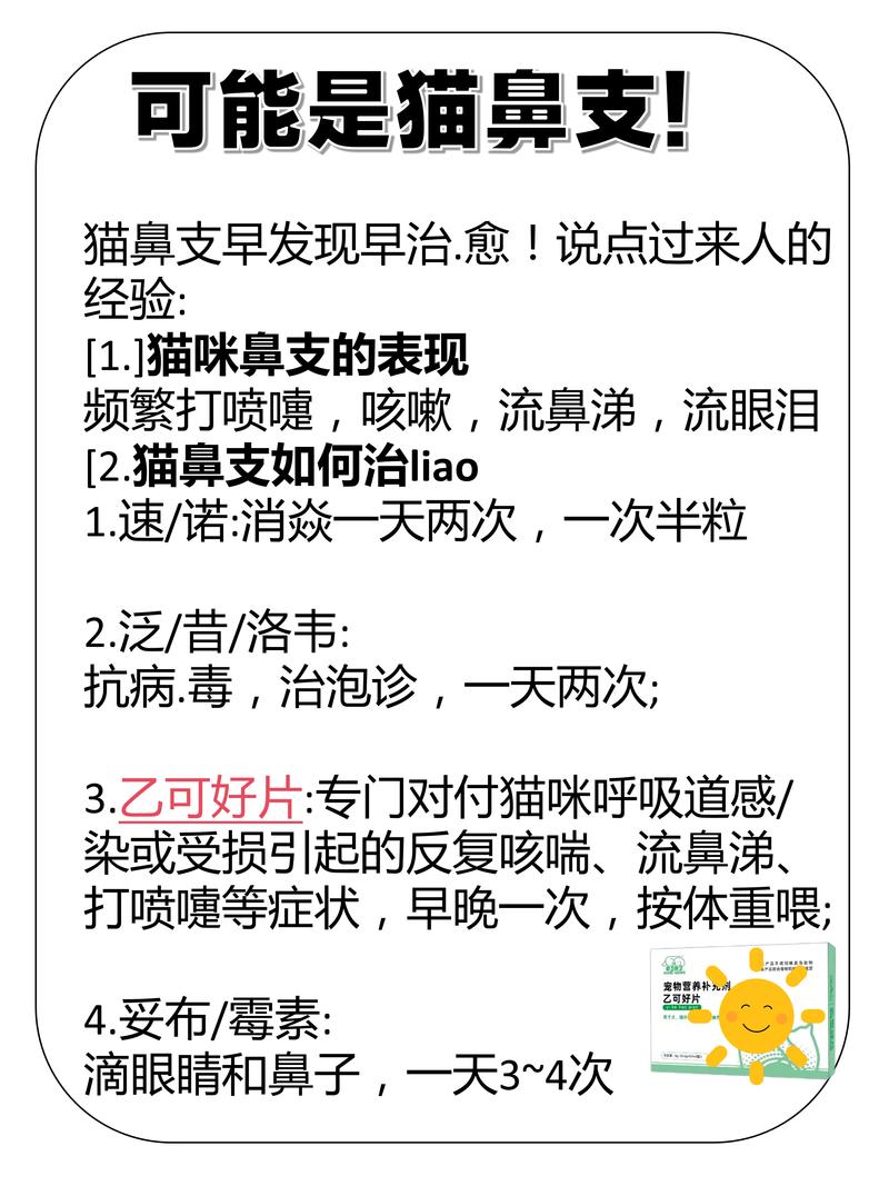 猫咪会打喷嚏吗_猫咪会打喷嚏吗为什么-第3张图片-后鲨宠物 猫咪会打喷嚏吗_猫咪会打喷嚏吗为什么-第3张图片-后鲨宠物