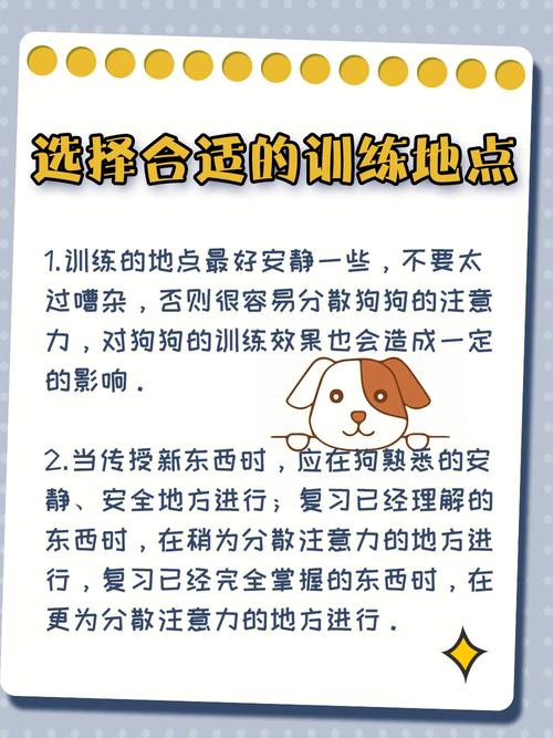 如何教狗狗坐下_如何教狗狗坐下与趴下-第1张图片-后鲨宠物 如何教狗狗坐下_如何教狗狗坐下与趴下-第1张图片-后鲨宠物