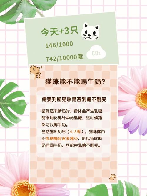 小猫咪能喝纯牛奶吗,宠物猫能喝纯牛奶吗-第5张图片-后鲨宠物 小猫咪能喝纯牛奶吗,宠物猫能喝纯牛奶吗-第5张图片-后鲨宠物