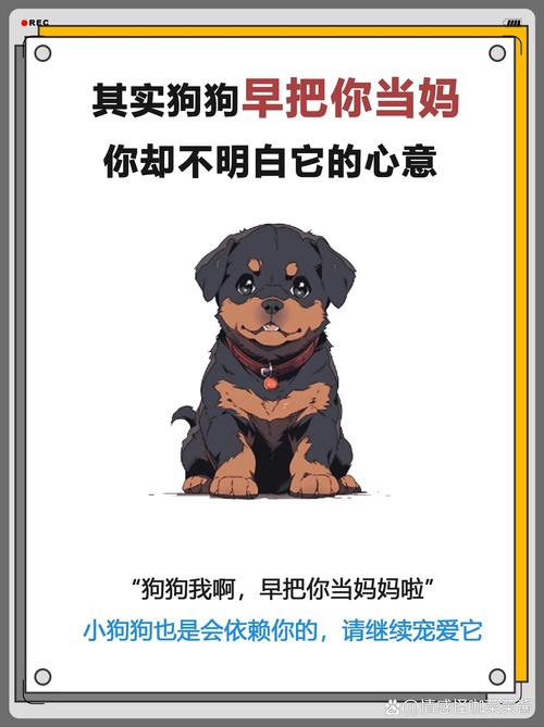 狗狗会把主人当妈妈吗,狗狗会不会把主人当妈-第3张图片-后鲨宠物 狗狗会把主人当妈妈吗,狗狗会不会把主人当妈-第3张图片-后鲨宠物