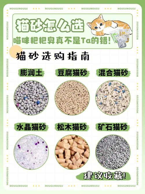 猫咪为什么会用猫砂,猫咪为什么会用猫砂盆了还在床上拉屎-第3张图片-后鲨宠物 猫咪为什么会用猫砂,猫咪为什么会用猫砂盆了还在床上拉屎-第3张图片-后鲨宠物