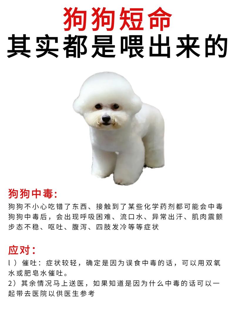 狗狗可以吃奥利奥吗_狗能吃奥利给-第1张图片-后鲨宠物 狗狗可以吃奥利奥吗_狗能吃奥利给-第1张图片-后鲨宠物