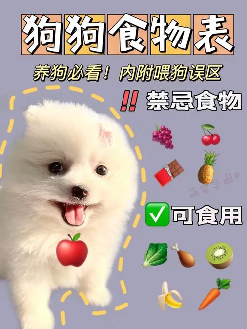 狗狗可以吃奥利奥吗_狗能吃奥利给-第6张图片-后鲨宠物 狗狗可以吃奥利奥吗_狗能吃奥利给-第6张图片-后鲨宠物