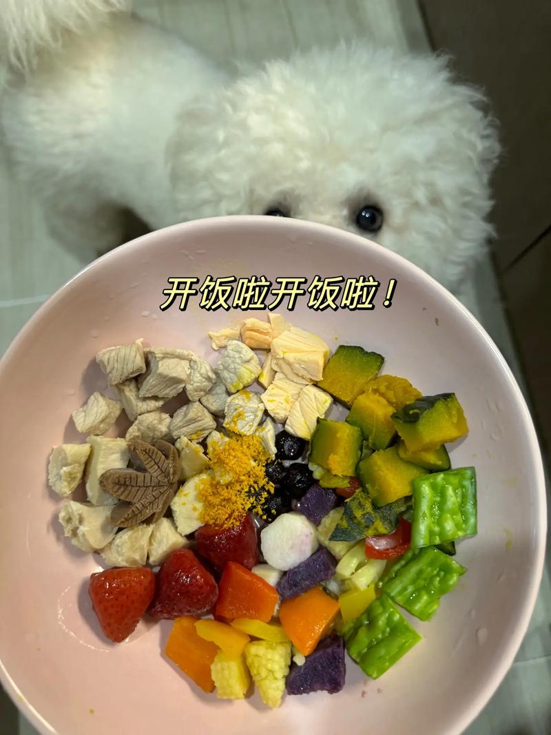 夏天给狗狗吃什么解暑_夏天给狗狗吃什么解暑比较好-第4张图片-后鲨宠物 夏天给狗狗吃什么解暑_夏天给狗狗吃什么解暑比较好-第4张图片-后鲨宠物