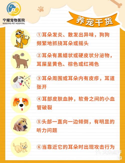 狗狗耳螨严重了怎么办,狗狗耳螨是什么症状-第6张图片-后鲨宠物 狗狗耳螨严重了怎么办,狗狗耳螨是什么症状-第6张图片-后鲨宠物