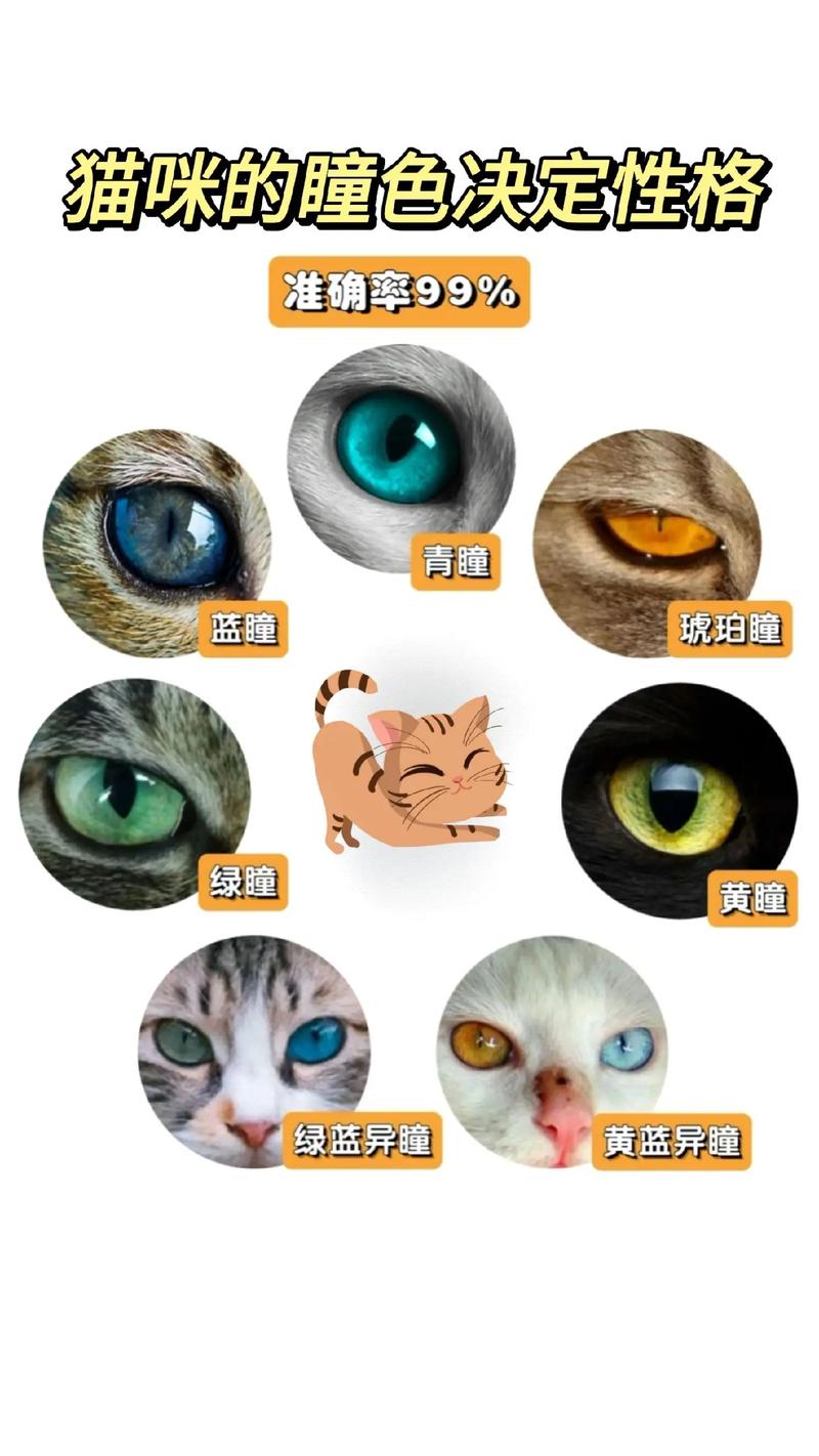 猫咪的眼睛颜色,猫咪的眼睛颜色代表什么?-第1张图片-后鲨宠物 猫咪的眼睛颜色,猫咪的眼睛颜色代表什么?-第1张图片-后鲨宠物