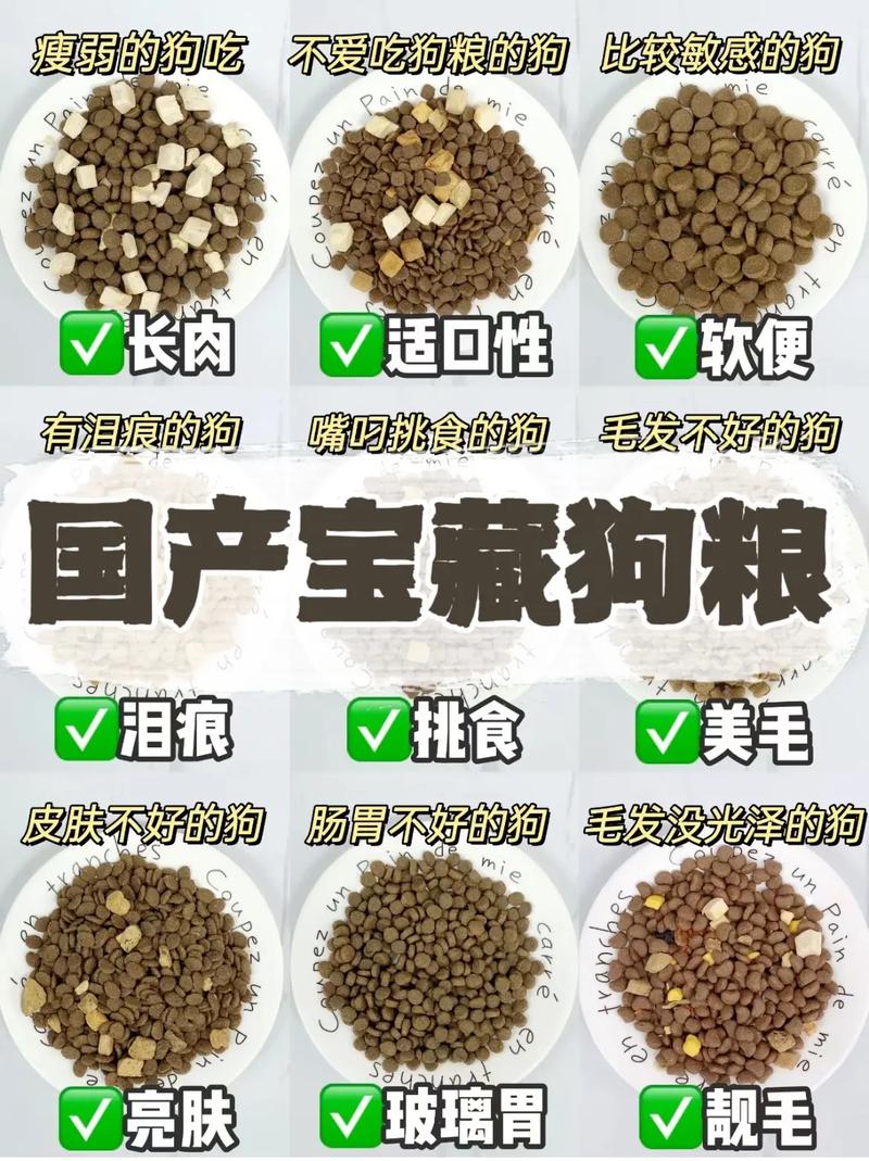 三个月狗狗吃什么,三个月狗狗吃什么蔬菜?-第6张图片-后鲨宠物 三个月狗狗吃什么,三个月狗狗吃什么蔬菜?-第6张图片-后鲨宠物