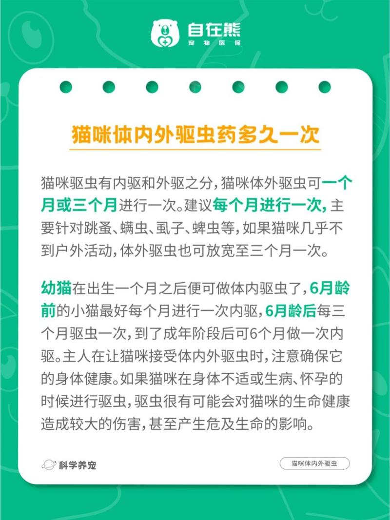 猫咪多久体内驱虫,猫咪多久体内驱虫一次比较好一点-第4张图片-后鲨宠物 猫咪多久体内驱虫,猫咪多久体内驱虫一次比较好一点-第4张图片-后鲨宠物